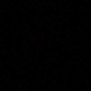 Meet your Posher, Tyra